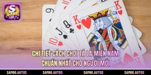 Chi Tiết Cách Chơi Tá Lả Miền Nam Chuẩn Nhất Cho Người Mới