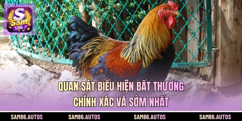 Quan sát biểu hiện bất thường chính xác và sớm nhất