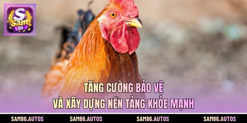 Tăng cường bảo vệ và xây dựng nền tảng khỏe mạnh